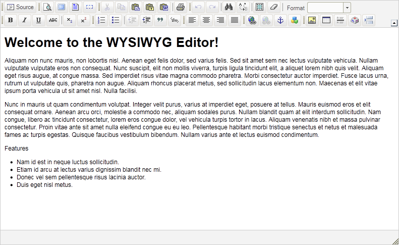 Introduction To The WYSIWYG Editor