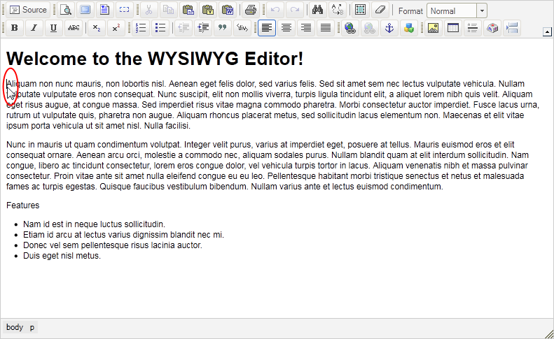 simple wysiwyg web page editor